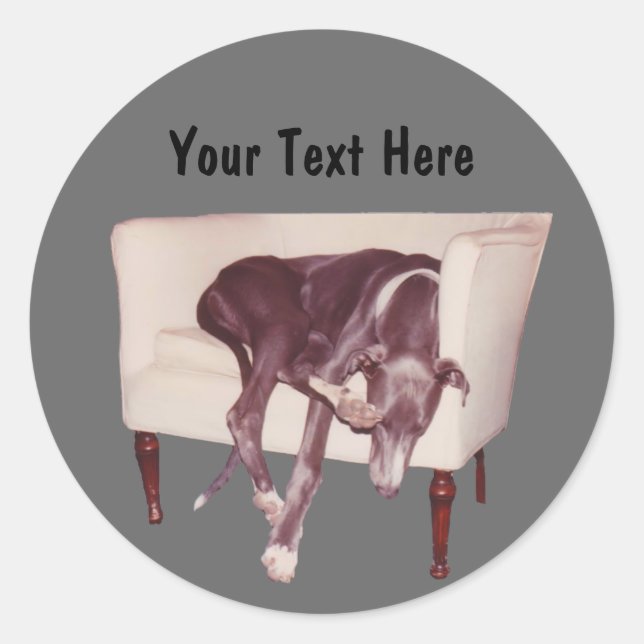 Gris Dormir Dans Chaise Drôle Sticker Chien (Devant)