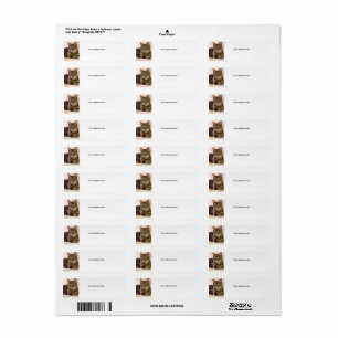 Gris tabby étiquettes de adresse de chat