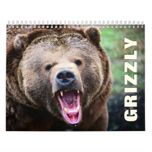 Grizzly Bears 2022 Calendrier mural