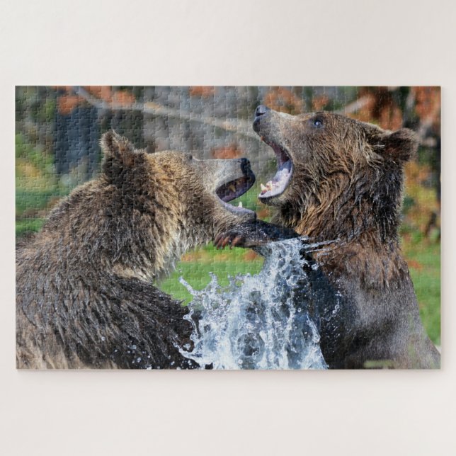 Grizzly Bears Combattez Jigsaw Puzzle (Horizontal)
