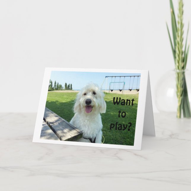 GROG TALKING DOG DIT VOUS VOULEZ JOUER ? CARTE D'A (Devant)