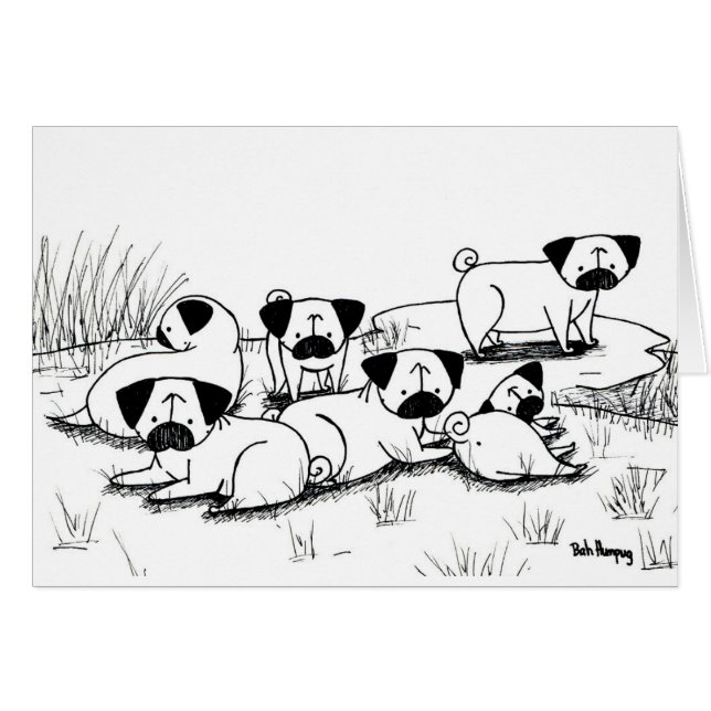 Grognement sauvage de carlin (Devant horizontal)