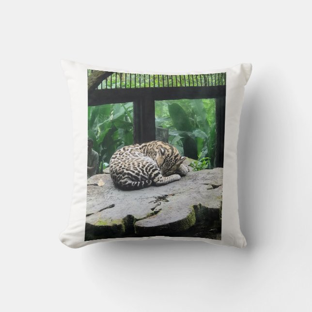 Gros Coussin de chat couché (Recto)