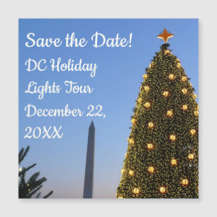 Gros et petits arbres de Noël II Vacances à DC