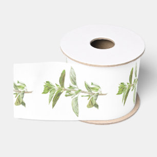 Gros-grain ORIGAN FRESH Ruban Grosgrain Largeur 3"