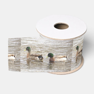 Gros-grain Ruban de photo de canards colverts