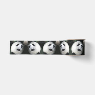 Gros-grain Ruban d'ours panda