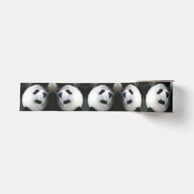 Gros-grain Ruban d'ours panda (Devant)