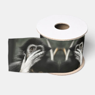 Gros-grain Ruban grosgrain singe choqué