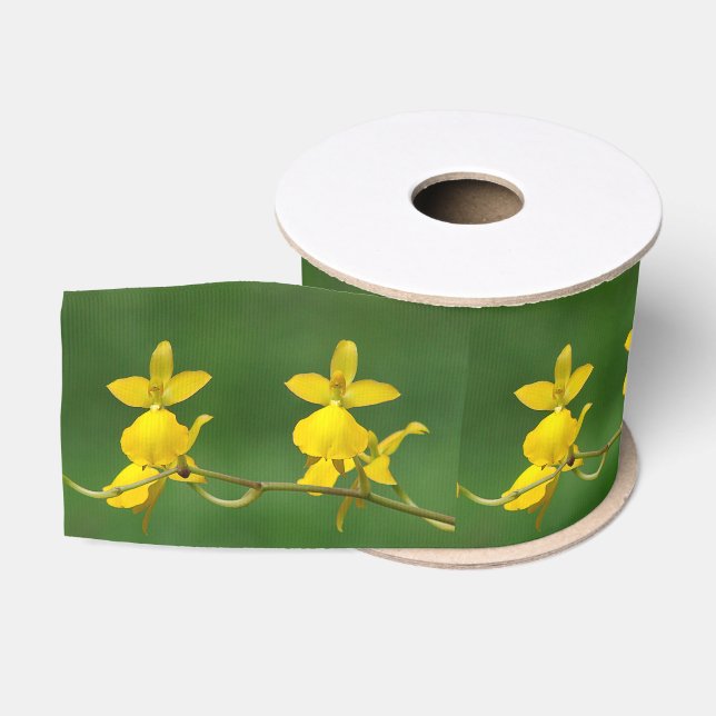 Gros-grain Ruban jaune orchidée (Bobine)