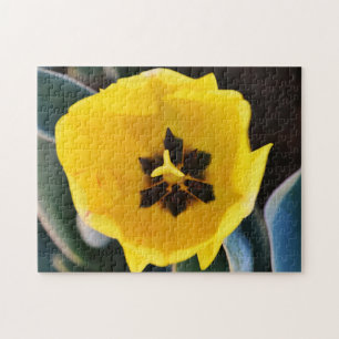 Gros Joli Puzzle de Fleur Tulip Jaune