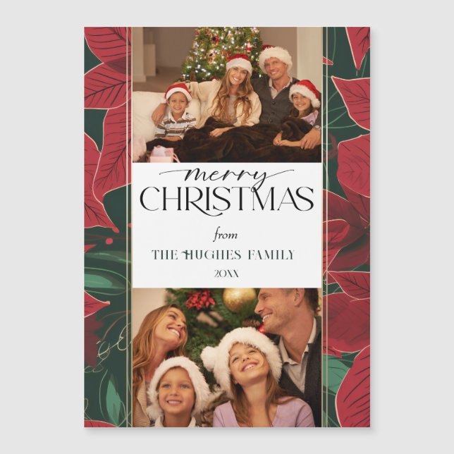 Gros Noël Poinsettia Botanique 2-Photo (Devant)