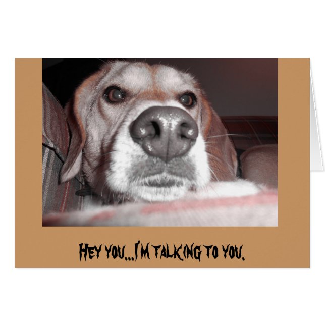 Gros petit (Devant Horizontal)