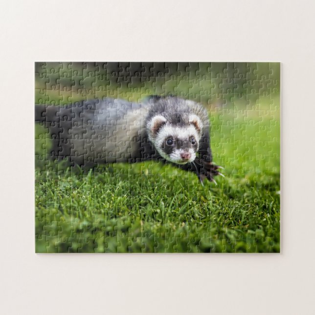 Gros plan de Ferret, Puzzle Jigsaw (Horizontal)