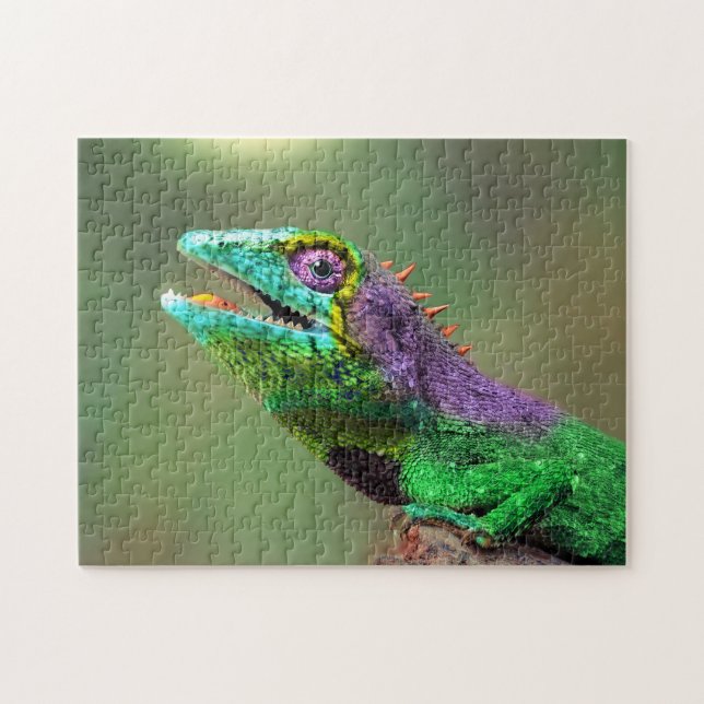 Gros plan de la tête de Chameleon, Jigsaw Puzzle (Horizontal)
