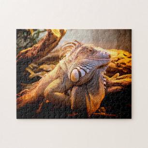 Gros plan de la tête d'Iguana, Jigsaw Puzzle