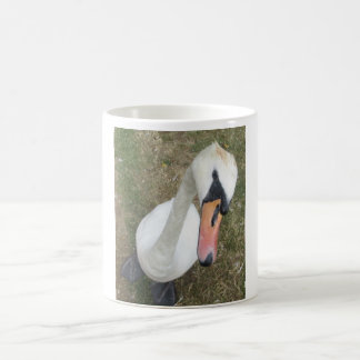 Gros plan du cygne blanc sur une Mug