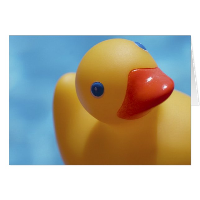Gros plan pour canard en caoutchouc (Devant horizontal)