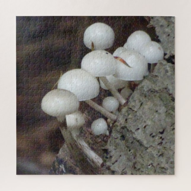 Gros plan Puzzle : Champignons de porcelaine (Vertical)