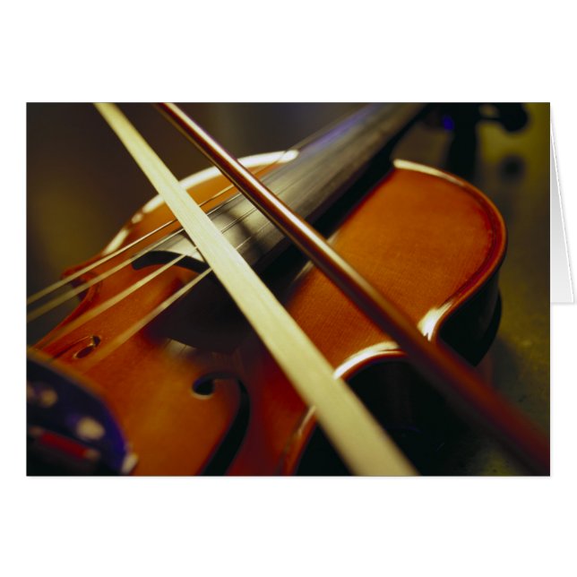 Gros plan sur le violon et la gorge 1 (Devant Horizontal)