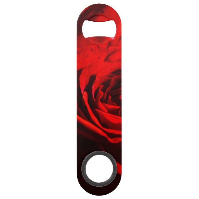 Gros plan sur une rose rouge (Devant)