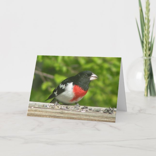 Grosbeak Penser À Votre Carte (Grande Impression) (Devant)