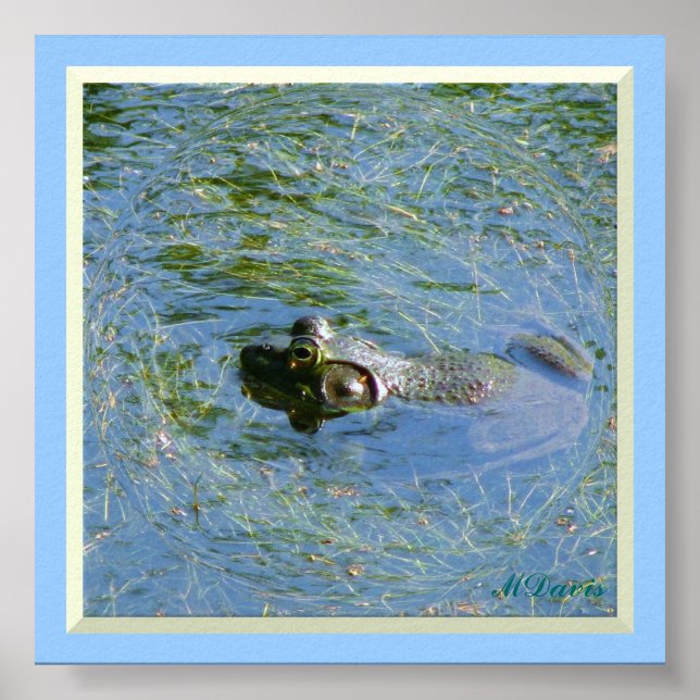 Grosse grenouille énorme affiche (Devant)