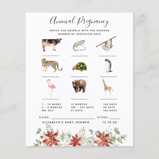 Grossesse animale | Jeu Baby shower (Devant)