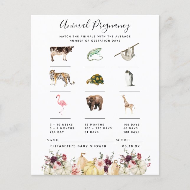 Grossesse animale | Jeu Baby shower (Devant)