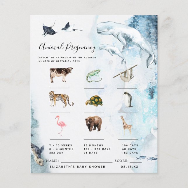 Grossesse animale | Jeu Baby shower (Devant)