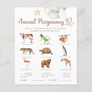 Grossesse d'animal bébé ours Baby shower jeu