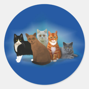 Groupe de Beaux Chats pour Stickers Amoureux de le