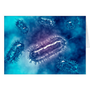 Groupe De Cellules Bactéries Escherichia Coli 1