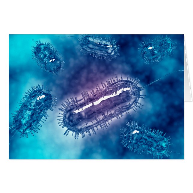 Groupe De Cellules Bactéries Escherichia Coli 1 (Devant horizontal)