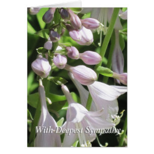 Groupe de Modèles pacifiques condense la carte de