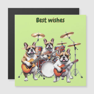 Groupe de musique Bouledogue français Französische
