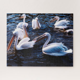 Groupe de Pélicans, Jigsaw Puzzle