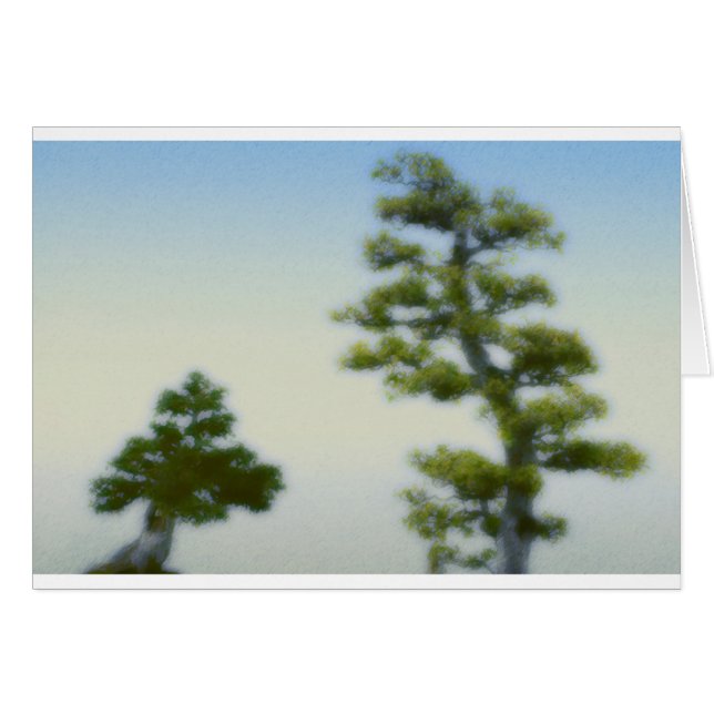 Groupe de pins de bonsaïs (Devant horizontal)