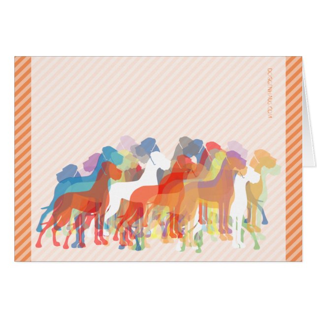 Groupe des Grands Danois modernes (Devant Horizontal)
