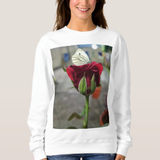 Groupe Satyam Sweat - shirts à capuche