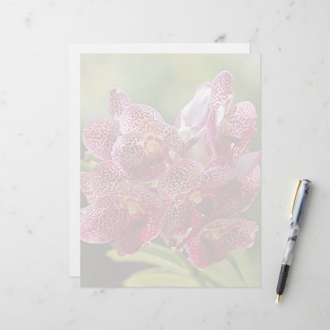 Groupe tropical d'orchidées de Vanda (Devant/Arrière en situation)