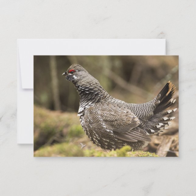 Groupement fier (Devant)