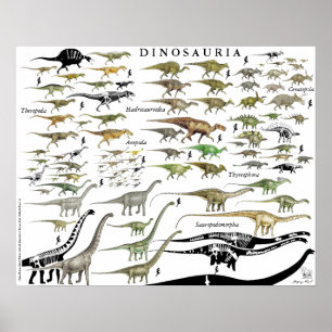 Groupes de dinosaures Échelle Poster Graphique Gre
