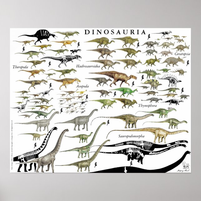 Groupes de dinosaures Échelle Poster Graphique Gre (Devant)