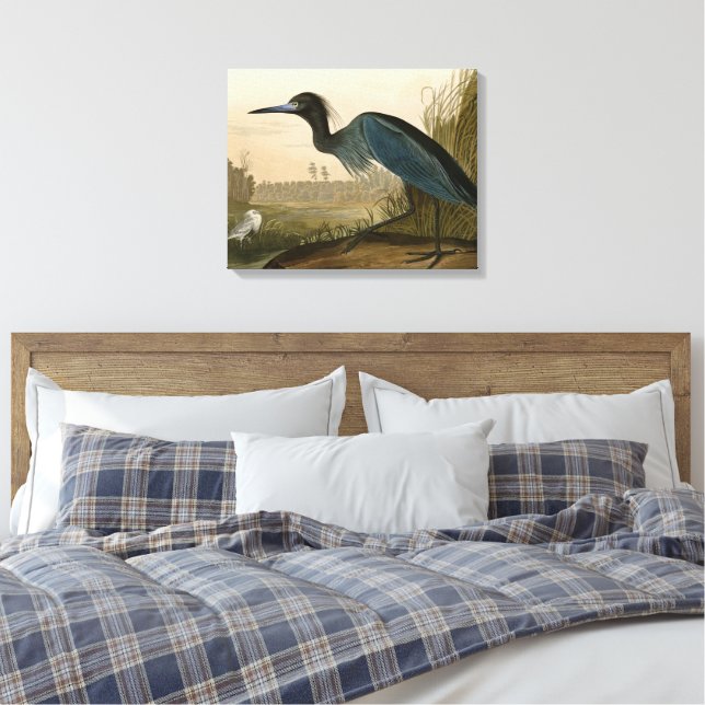 Grue bleue Héron Impression Audubon Art côtier (Insitu(Chambre))