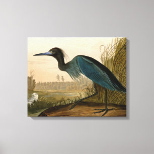 Grue bleue Héron Impression Audubon Art côtier