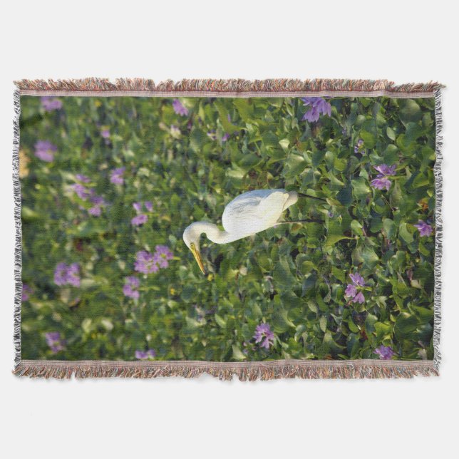 Grue dans la couverture de l'étang (Devant)