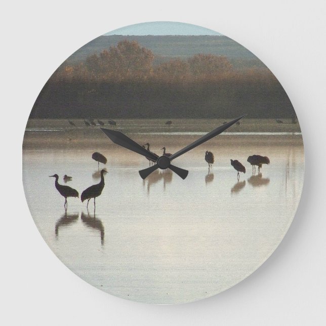 Grue de Sandhill Oiseaux Faune Animaux Horloge (Recto)