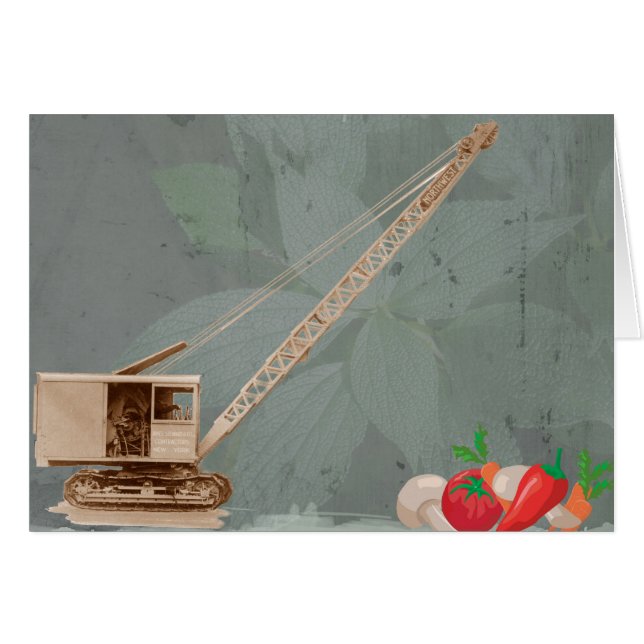 Grue du Nord-Ouest dans l'exploitant de la grue du (Devant horizontal)