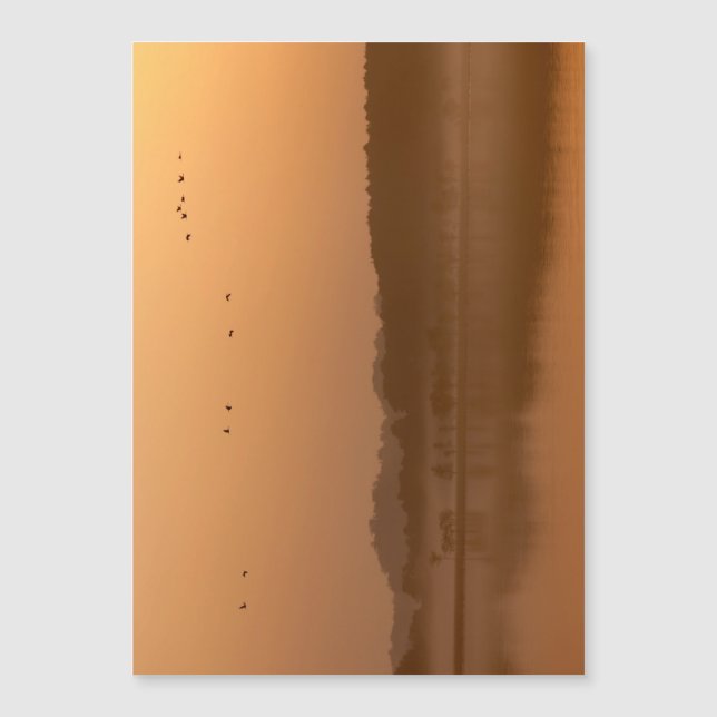 Grues au lever du soleil (Devant)